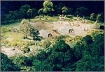 gaiyou-ziorama[1].jpg